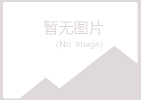 黄山夏岚银行有限公司